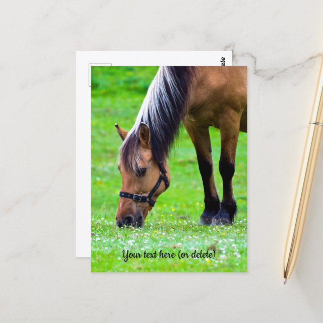 Tarjeta postal del caballo Fjord noruego (Anverso/Reverso In Situ)
