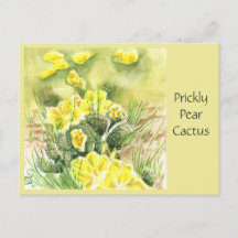 Tarjeta postal del cactus de pera espinosa