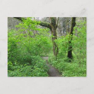 Tarjeta postal del camino del bosque