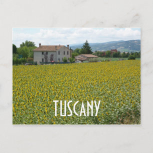 Tarjeta postal del campo de girasoles en la ladera