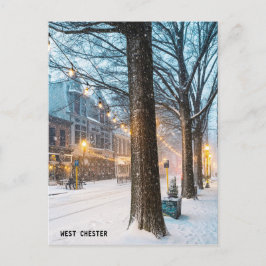 TARJETA POSTAL DEL CHESTER OCCIDENTAL