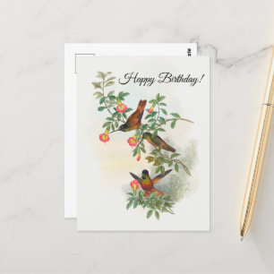 Tarjeta postal del colibrí de corona frontal dorad