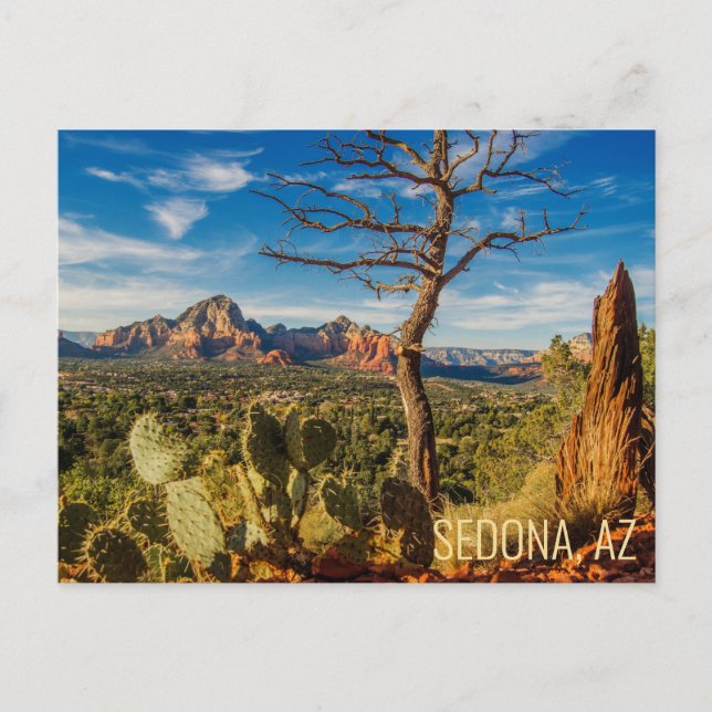 Tarjeta postal del desierto de Sedona Arizona con  (Anverso)
