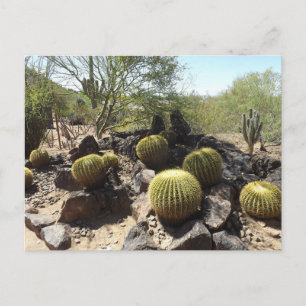 Tarjeta postal del desierto de Sonora