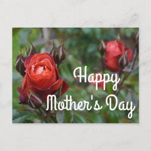Tarjeta postal del Día de la Madre Feliz Rosa de C