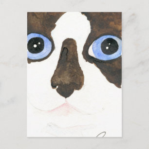 Tarjeta postal del gato de la raqueta de nieve de