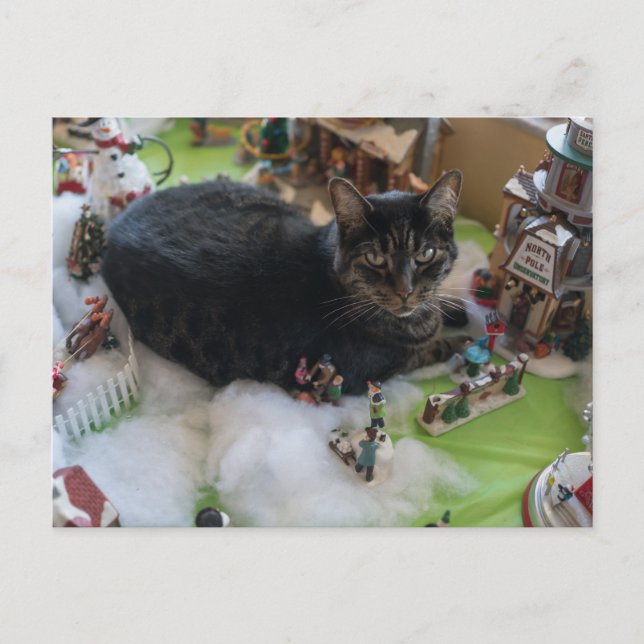 tarjeta postal del gato de los navidades de mesa (Anverso)