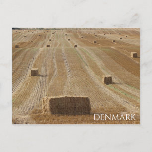 ¡Tarjeta postal del hermoso campo de Dinamarca!