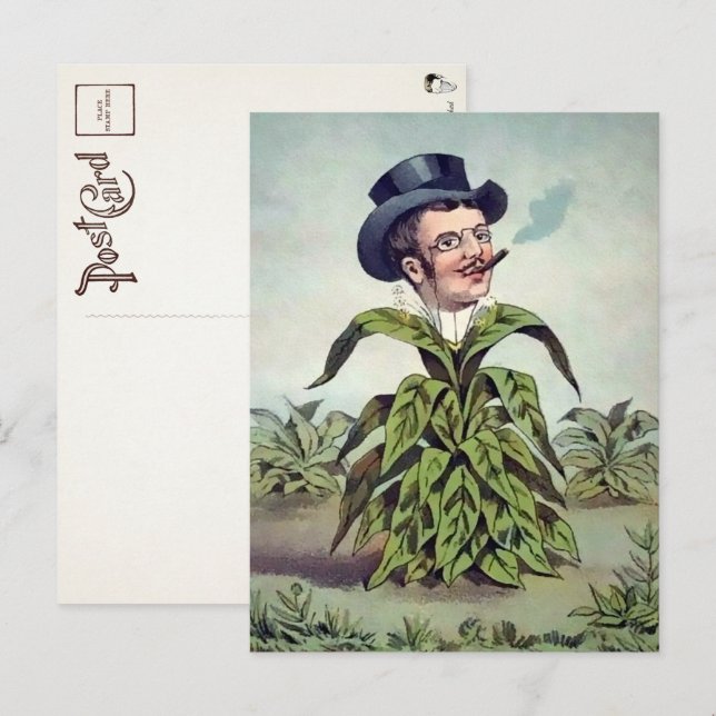 Tarjeta postal del hombre de plantas victoriano (Anverso / Reverso)