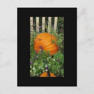 Tarjeta postal del huerto de calabaza del otoño