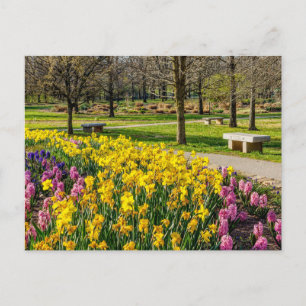 Tarjeta postal del jardín de flores de la temporad