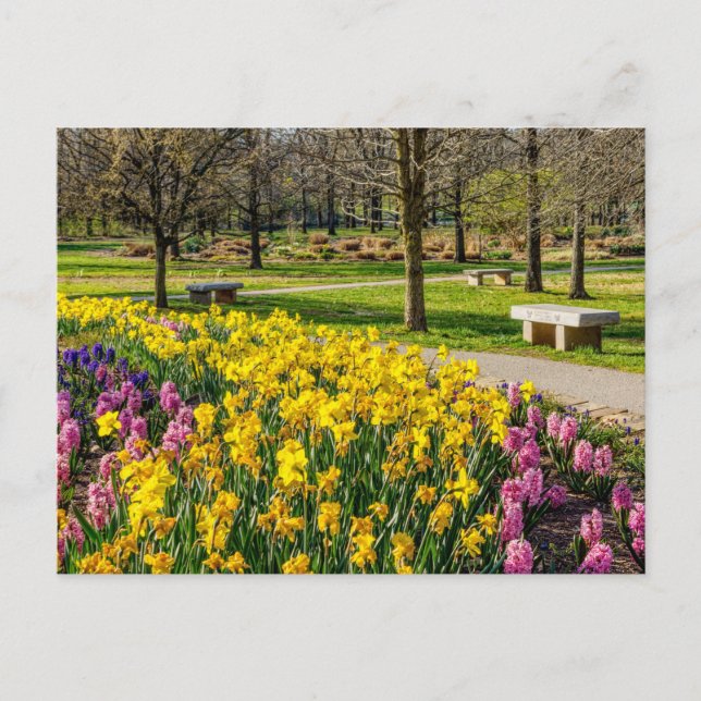 Tarjeta postal del jardín de flores de la temporad (Anverso)