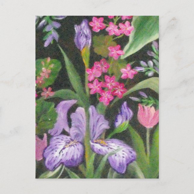 Tarjeta Postal del Jardín de Iris (Anverso)