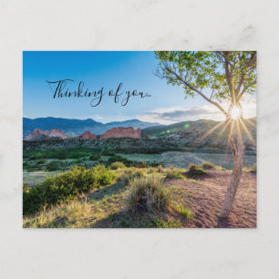 Tarjeta Postal del Jardín de los Dioses Árbol Sol 