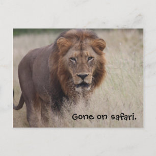 Tarjeta postal del león