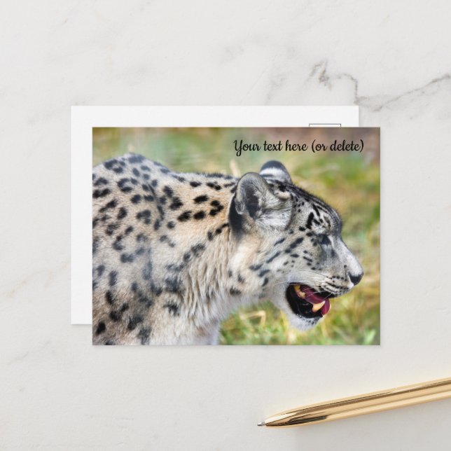 Tarjeta postal del leopardo de las nieves (Anverso/Reverso In Situ)