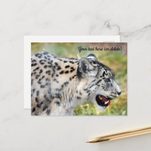 Tarjeta postal del leopardo de las nieves