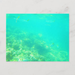 TARJETA POSTAL DEL MAR CARRIBEANO 12