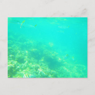 TARJETA POSTAL DEL MAR CARRIBEANO 12