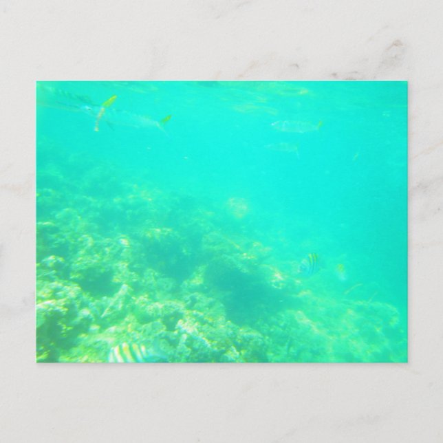 TARJETA POSTAL DEL MAR CARRIBEANO 12 (Anverso)