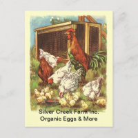TARJETA POSTAL DEL MERCADO DE Pollos de Huevos Eco