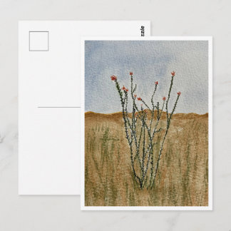 Tarjeta postal del ocotillo del desierto de Chihua