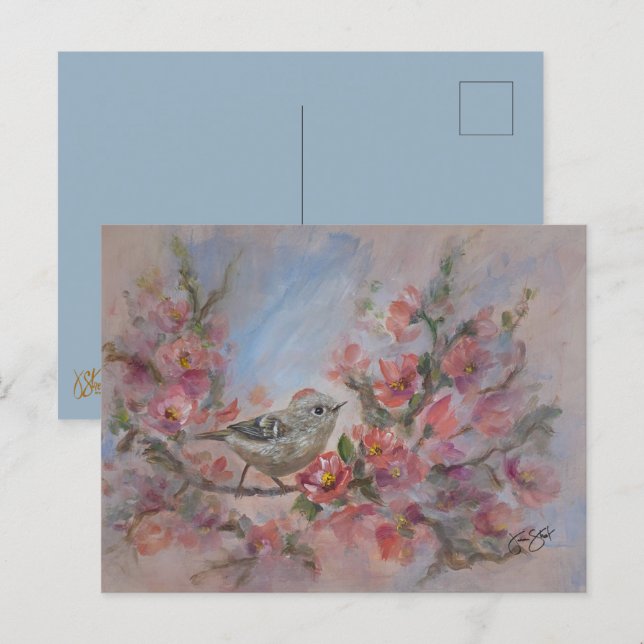 Tarjeta Postal del Pájaro Reyezuelo Rubí (Anverso / Reverso)