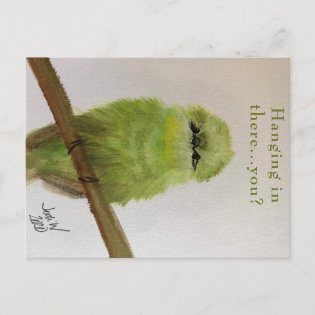 Tarjeta postal del pájaro verde "Agarrando...¿y tú (Anverso)