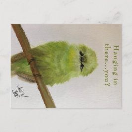 Tarjeta postal del pájaro verde "Agarrando...¿y tú