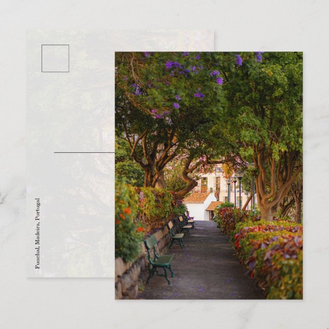 Tarjeta postal del parque de la ciudad de Funchal, (Anverso / Reverso)