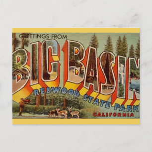 Tarjeta postal del parque de secuoyas Big Basin