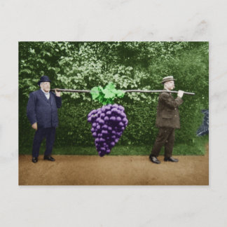 Tarjeta postal del Parque Friar #17