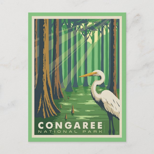 Tarjeta postal del parque nacional Congaree SC (Anverso)