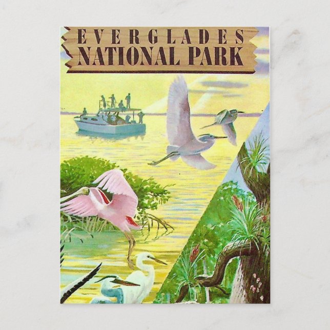 Tarjeta postal del Parque Nacional Everglades (Anverso)