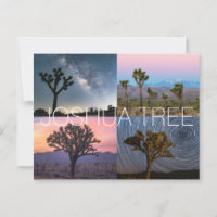 Tarjeta Postal del Parque Nacional Joshua Tree