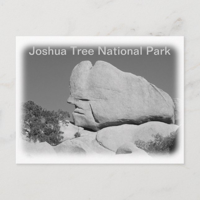 ¡Tarjeta postal del Parque Nacional Joshua Tree! (Anverso)