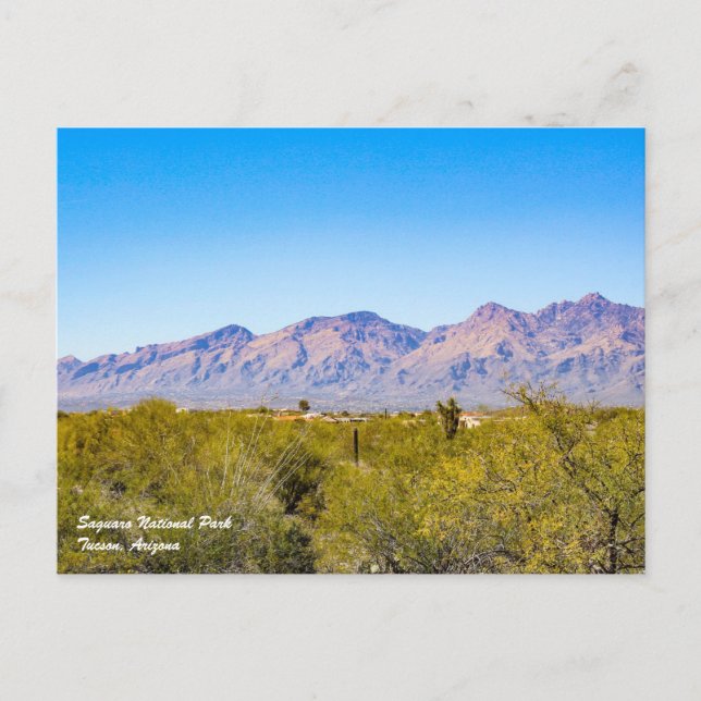 Tarjeta postal del Parque Nacional Saguaro (Anverso)