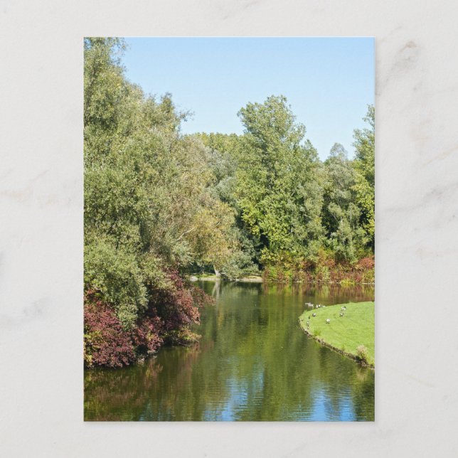 Tarjeta postal del parque Rheinaue (Anverso)