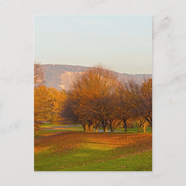 Tarjeta postal del parque Rheinaue (Anverso)