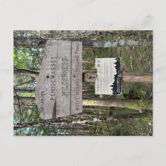 Tarjeta postal del Pemigewasset Wilderness (Anverso)