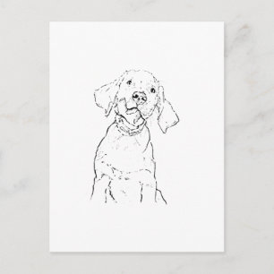 Tarjeta Postal del Perro Retriever de Labrador
