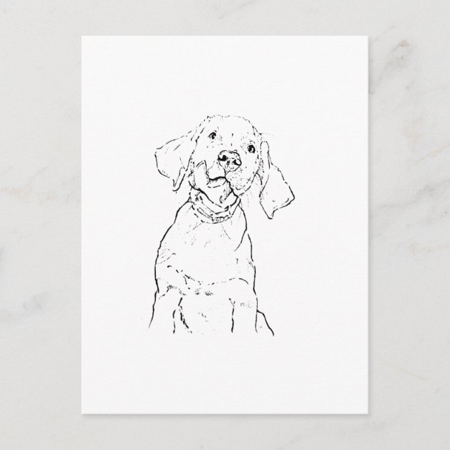 Tarjeta Postal del Perro Retriever de Labrador (Anverso)