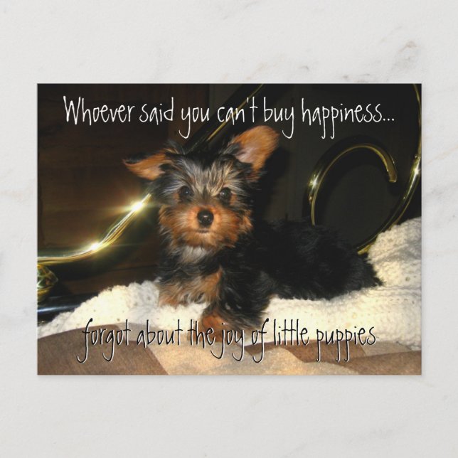Tarjeta postal del Personalizable Yorkie Happiness (Anverso)