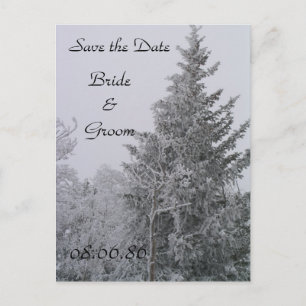 Tarjeta postal del pino invernal de boda