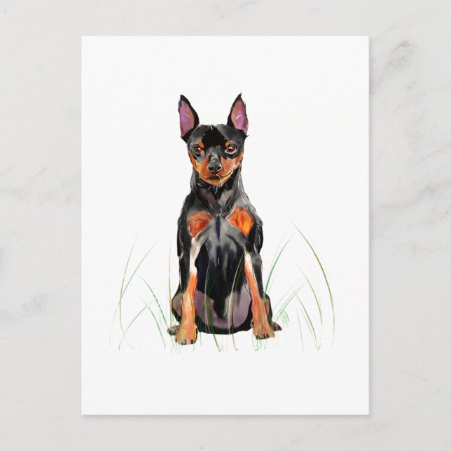 Tarjeta Postal del Pinscher Miniatura, Min Pin (Anverso)