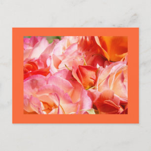 Tarjeta postal del ramo de rosas brillantes Rosas