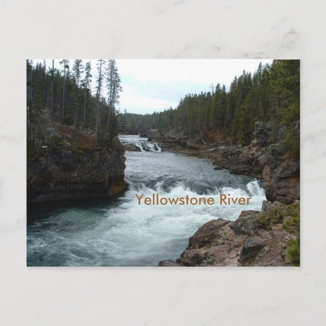 Tarjeta postal del río Yellowstone (Anverso)