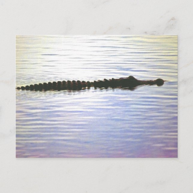 TARJETA POSTAL DEL SOL (Anverso)