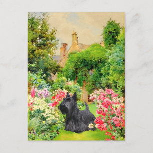 Tarjeta postal del Terrier Escocés
