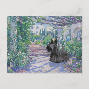 Tarjeta postal del Terrier Escocés